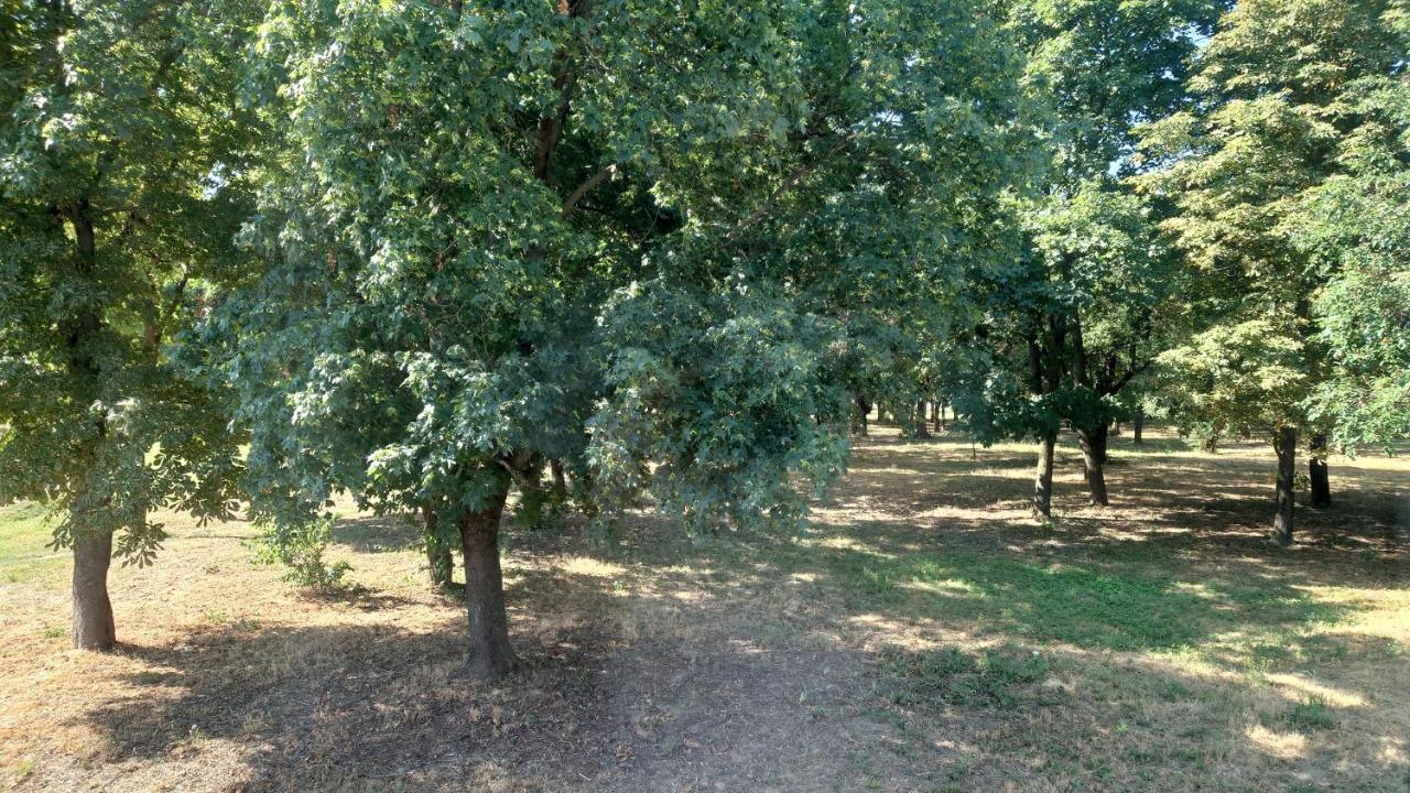 אורדאה Zola Guest House מראה חיצוני תמונה